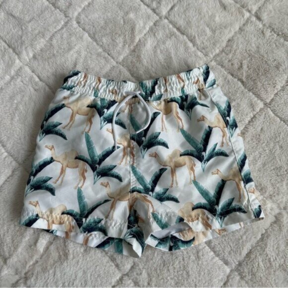 Janie & Jack | Boys Poplin Camel Print Shirt & Swim Trunks | Size 2T/18-24 Month - Picture 6 of 10